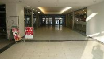Wutzkycenter